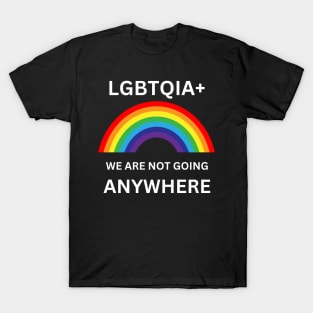 Gay Pride We Are not Going Anywhere LGBT Lesbian Trans Gift For LGBTQIA Rainbow Family Queer Intersex Asexual Protest T-Shirt